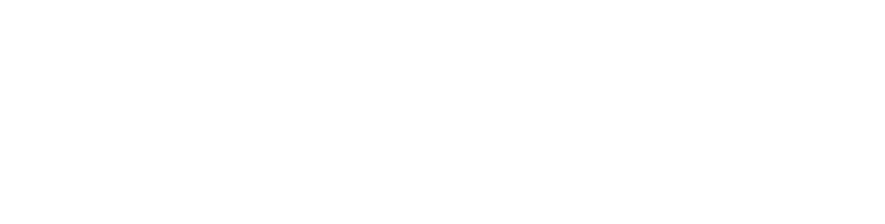 tiny lots logo
